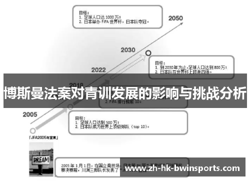博斯曼法案对青训发展的影响与挑战分析