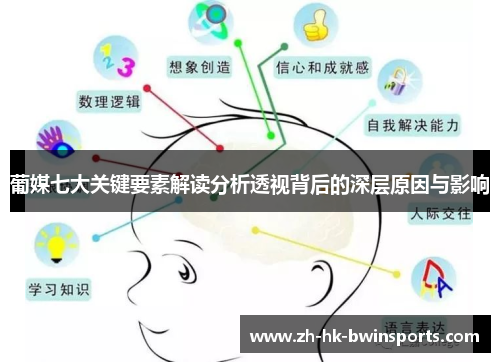 葡媒七大关键要素解读分析透视背后的深层原因与影响